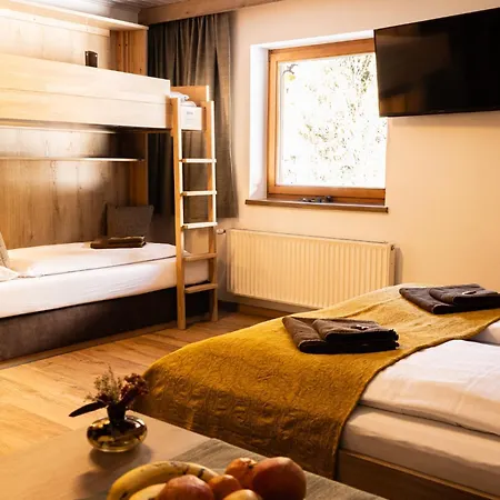 Dachsteinhof 3*