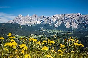 Konukevi Dachsteinhof 3*