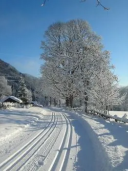Dachsteinhof Konukevi Ramsau am Dachstein