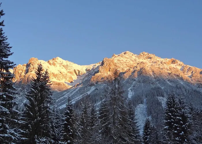 Dachsteinhof Guest house Ramsau am Dachstein