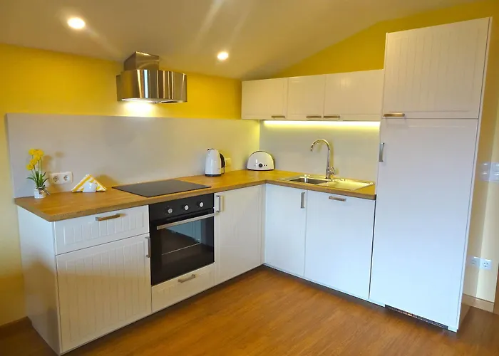 Guest house Dachsteinhof 3*